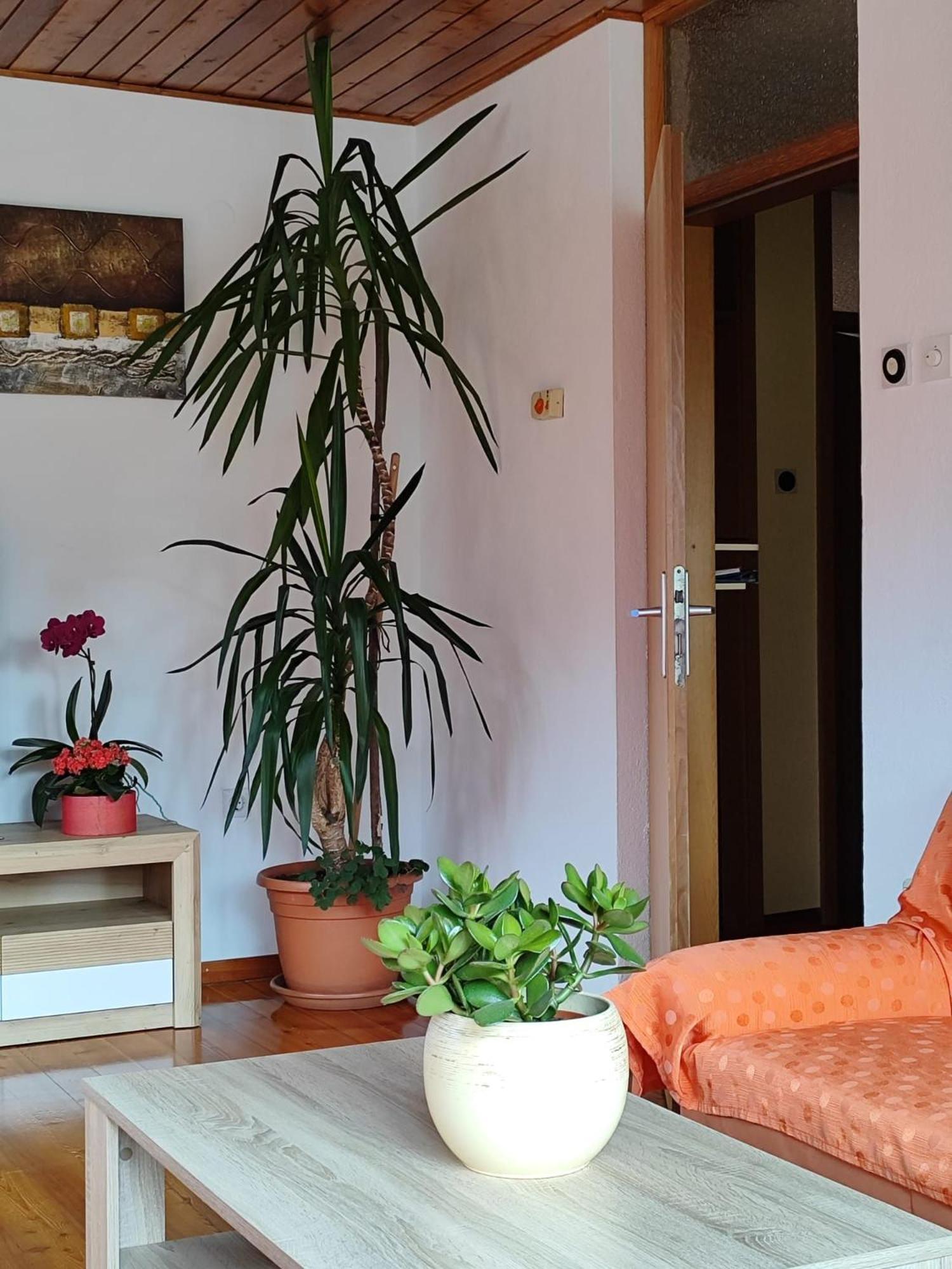 Apartment Kolman Tolmin Eksteriør billede